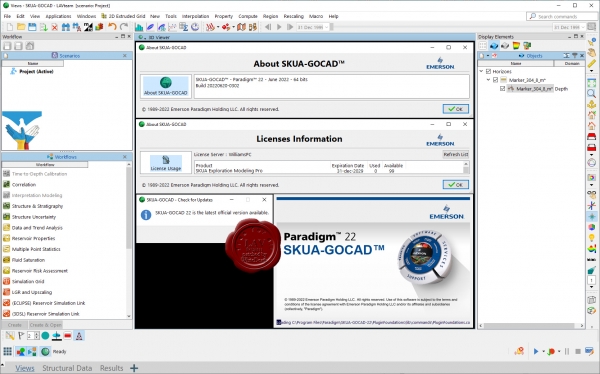 Emerson Paradigm SKUA-GOCAD 22 build 2022.06.20